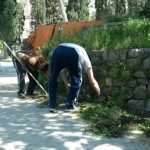 stara bolnica smece bonsai 110813(6)