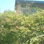 trafostanica 02