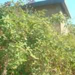 trafostanica 05