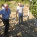 agroturizam konavle 05
