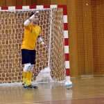 futsal176
