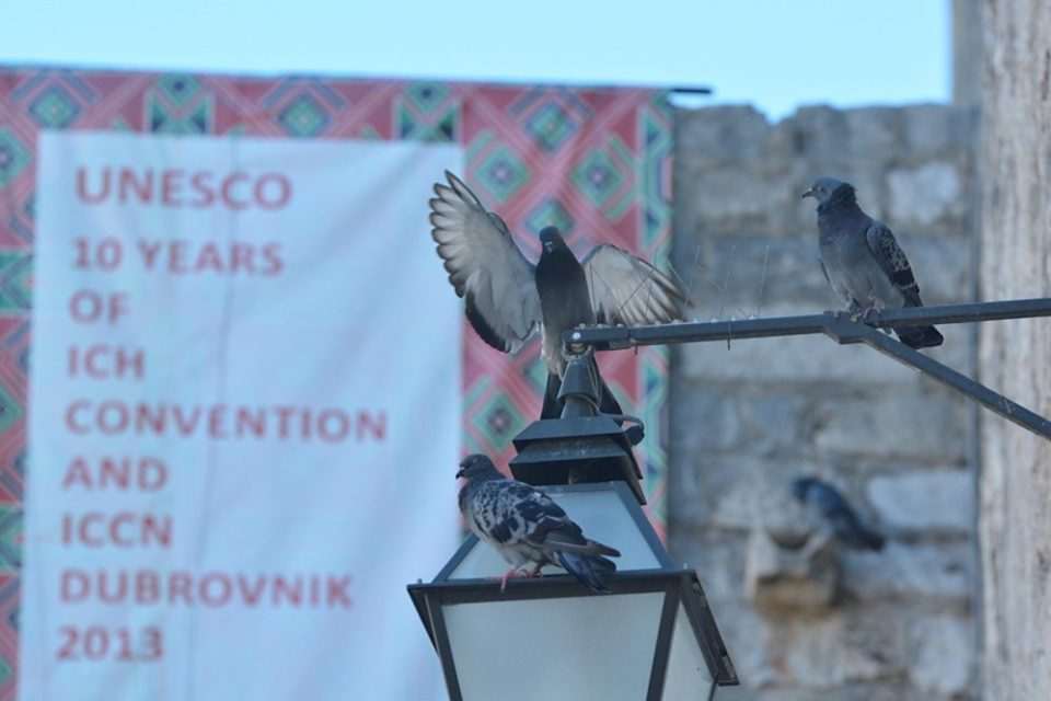 golubovi unesco4053