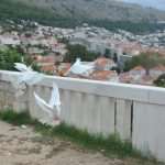 gradac golubovi4131