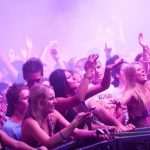 revelin nervo 08
