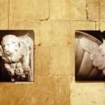 izlozba sponza 06