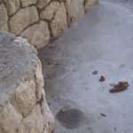 izmet gaja 02