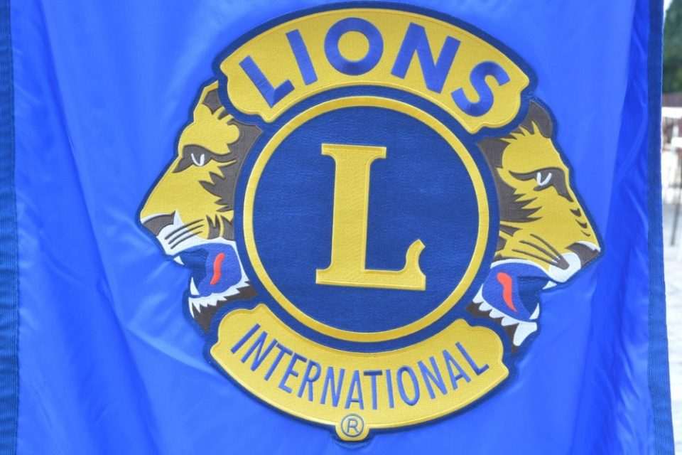 lionsi4140