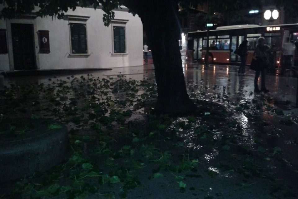 pile pljusak