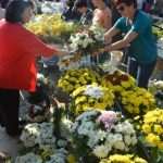 placa cvijece6577