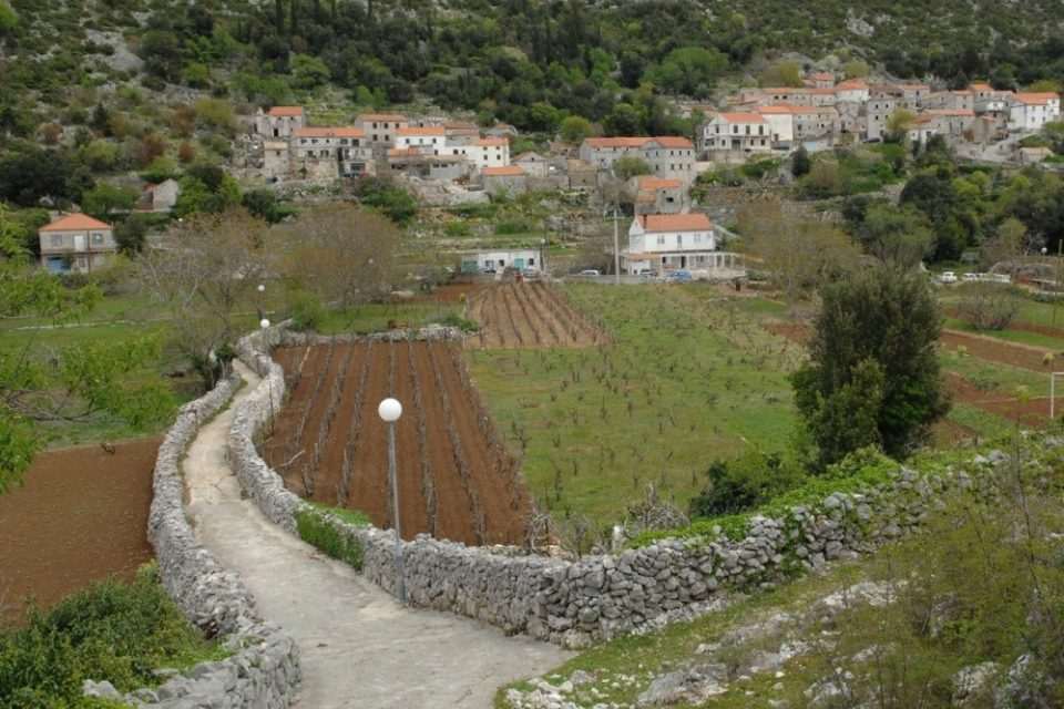 primorje mrcevo2494