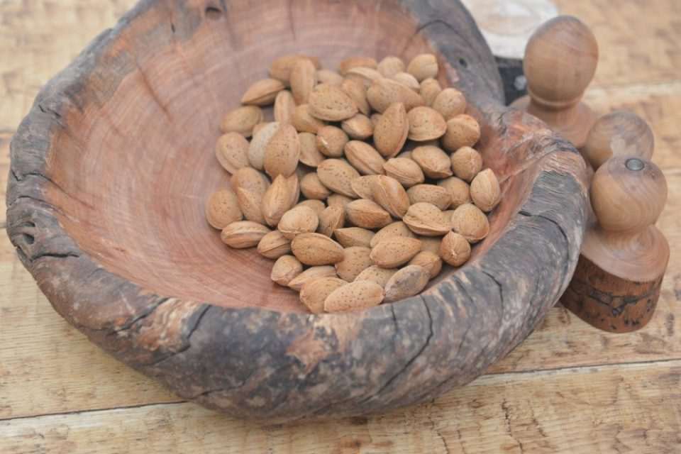 sajam bajam2417