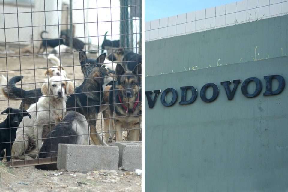 stacionar vodovod