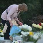 FOTO Cvijeće i svijeće za najmilije 21 boninovo6857