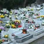 FOTO Cvijeće i svijeće za najmilije 27 boninovo6907