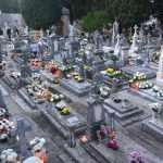 FOTO Cvijeće i svijeće za najmilije 11 boninovo6977