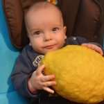 citron2