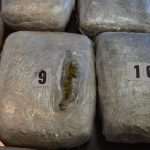 droga marihuana mup 06