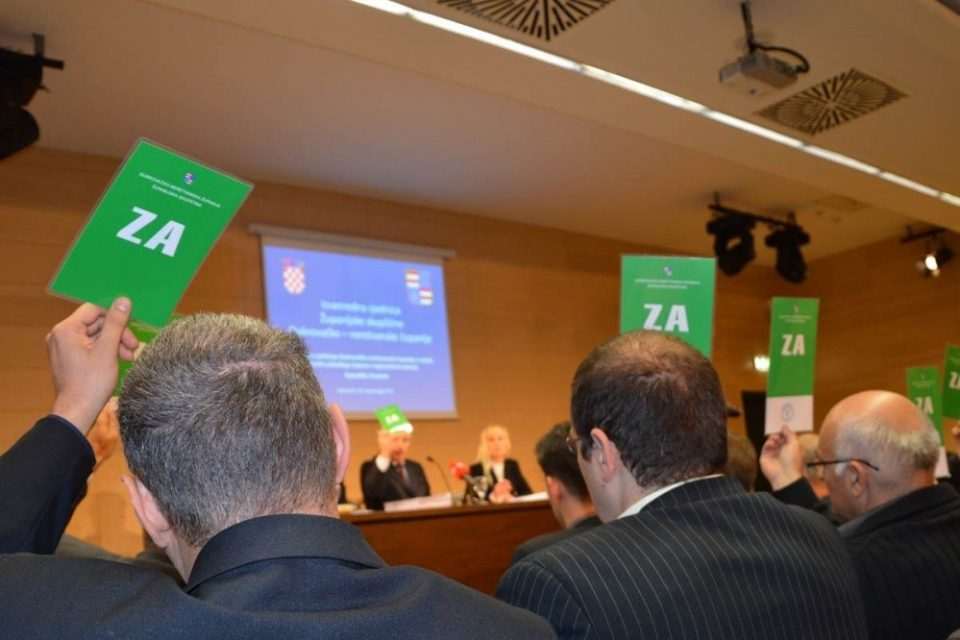 izvanredna zupanijska skupstina 251113