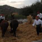 osojnik12