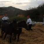 osojnik13