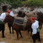 osojnik7