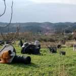 paintball 07