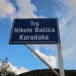 pticar bacic neum 07