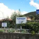 pticar bacic neum 08
