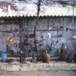 pticar bacic neum 09