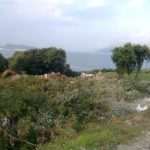 sjeca neptune president 031113(5)