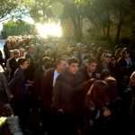 boninovo013