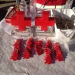 crveni kriz jovic 231213(3)