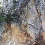 odron vila elita 051213(3)