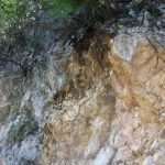 odron vila elita 051213(4)