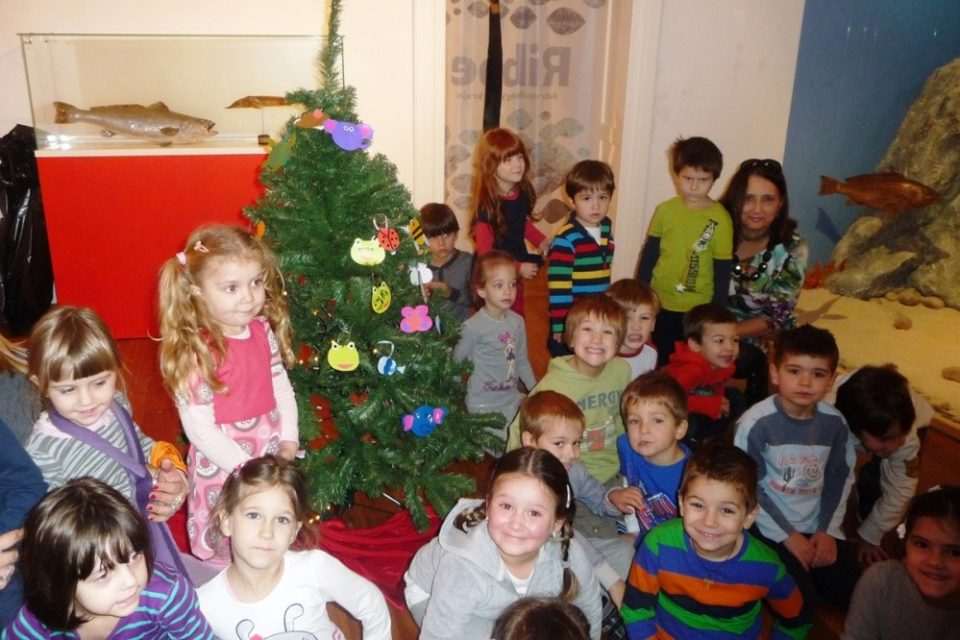 prirodoslovni bozic 01
