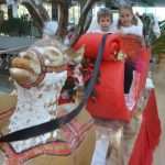 rixos mraz8191