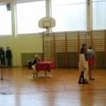 skola cavtat 12