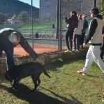 tenis5666