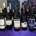 vina lions168