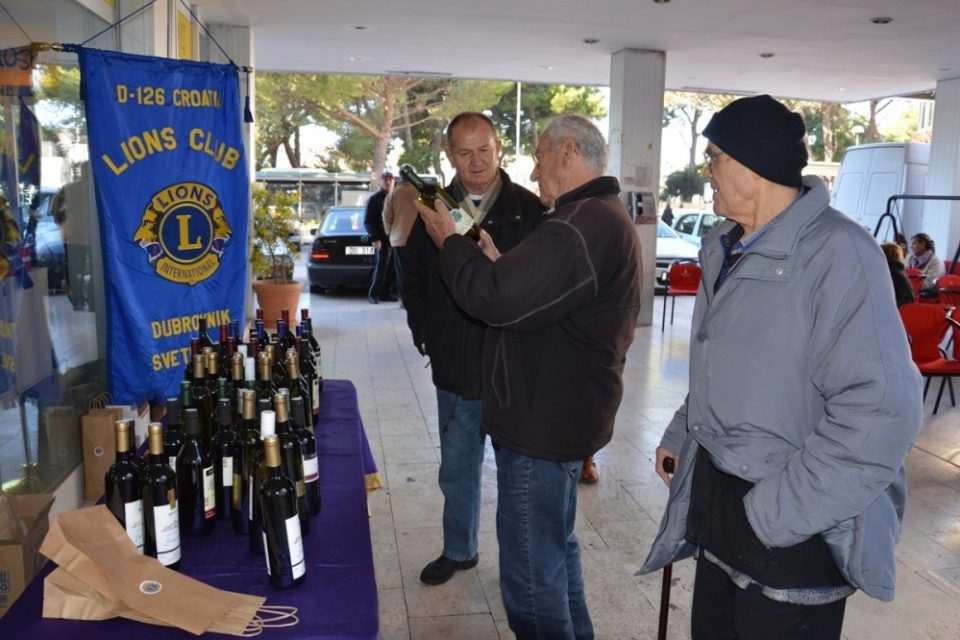 vina lions170
