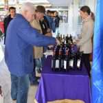 vina lions176