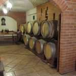 vinari peljesac 071213(11)