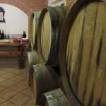 vinari peljesac 071213(12)