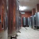 vinari peljesac 071213(13)