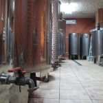 vinari peljesac 071213(14)