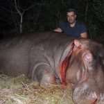 Nadan Vidošević u Safariju Mashambanzou