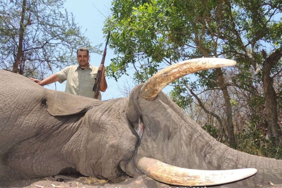 Nadan Vidošević u Safariju Mashambanzou