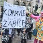 Male maškare na Stradunu 2014.