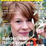 Naslovnica Maslinar