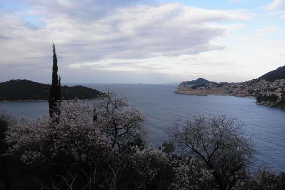 Mjenduli
